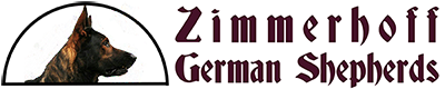 My blog