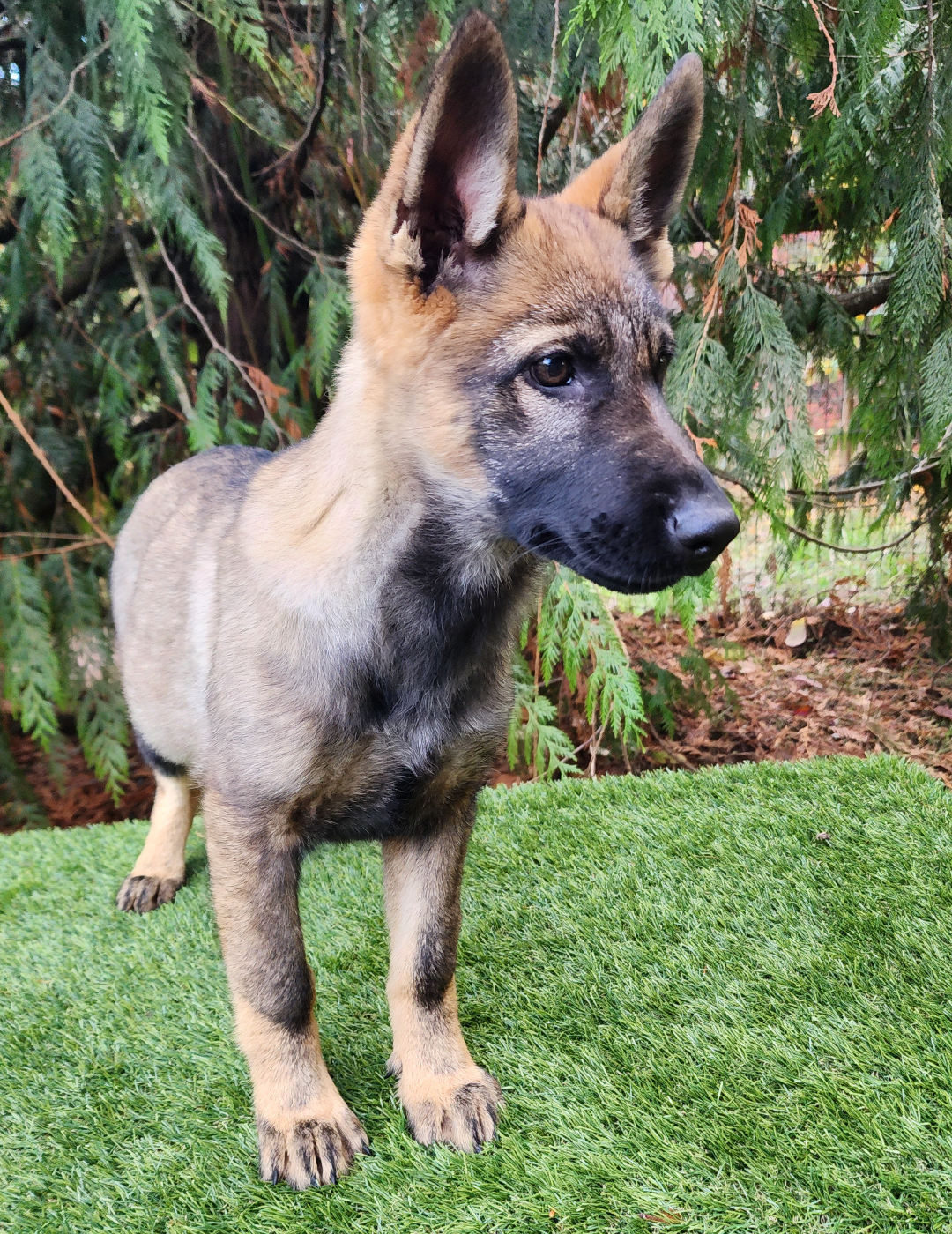 BERTA_Mesa de trabajo 1